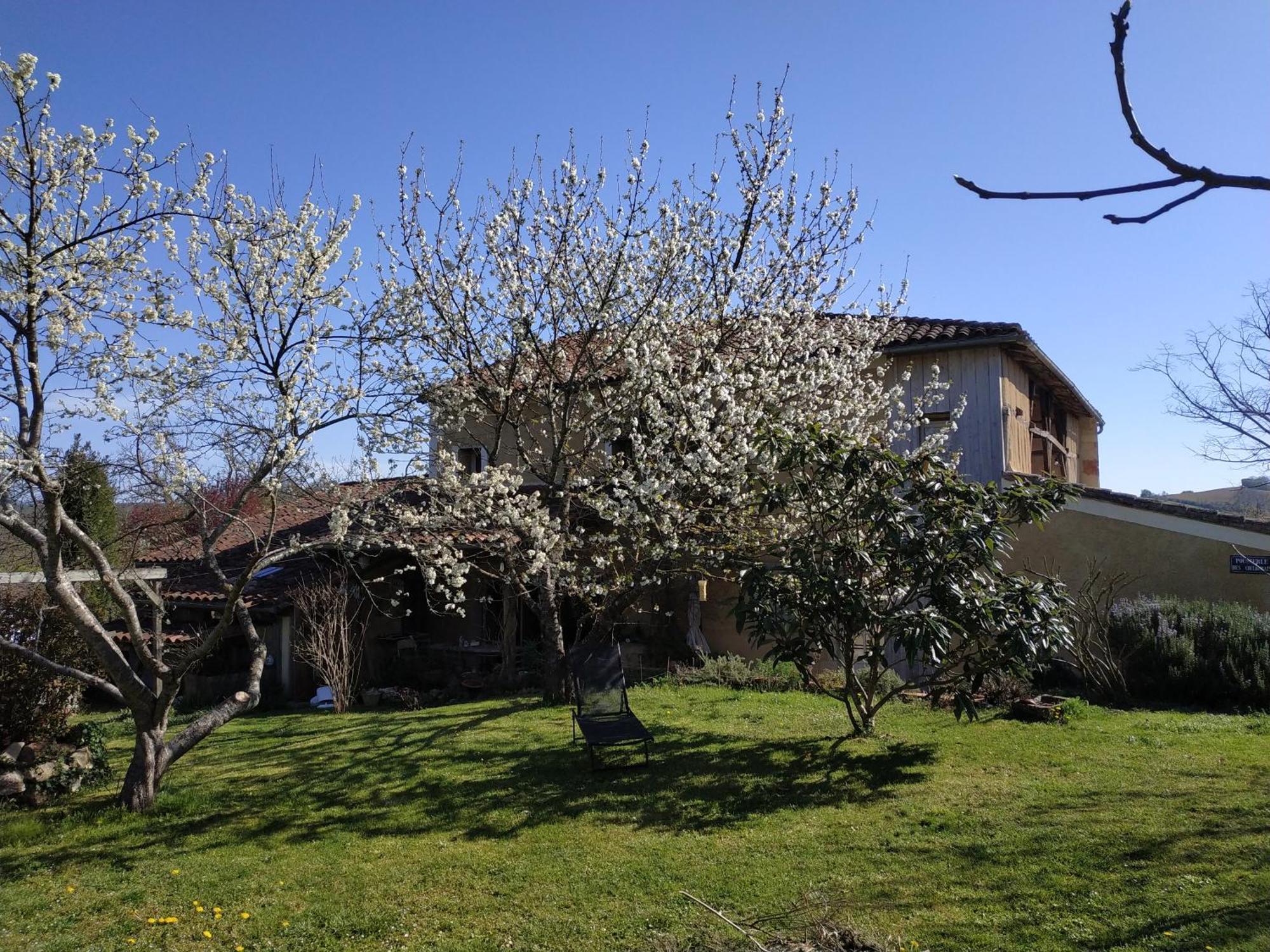 "Au Campaner" Chambres Dans Maison Gasconne Barran Exterior photo