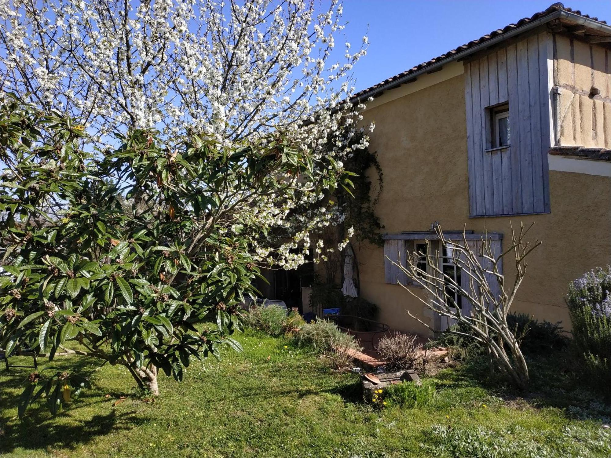 "Au Campaner" Chambres Dans Maison Gasconne Barran Exterior photo